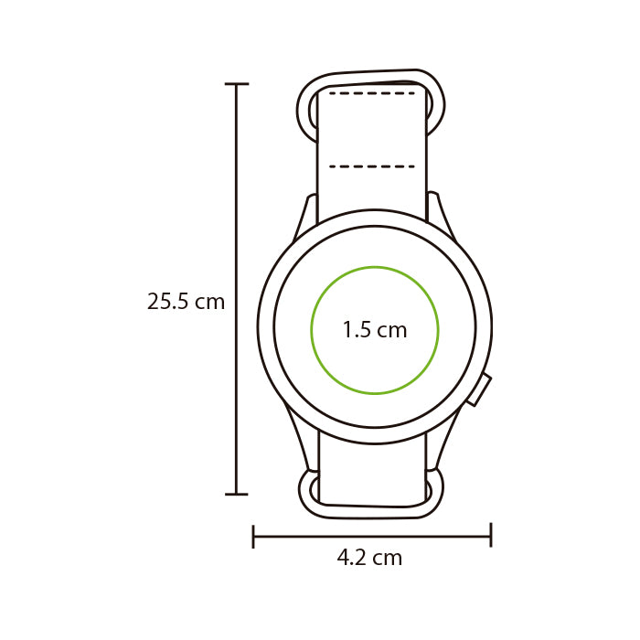 Reloj de pulso.