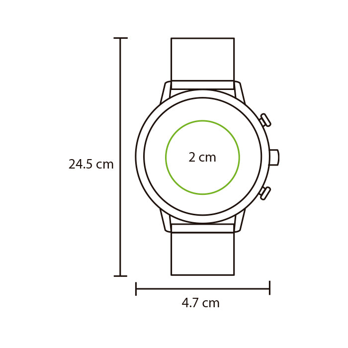 Reloj de pulso.