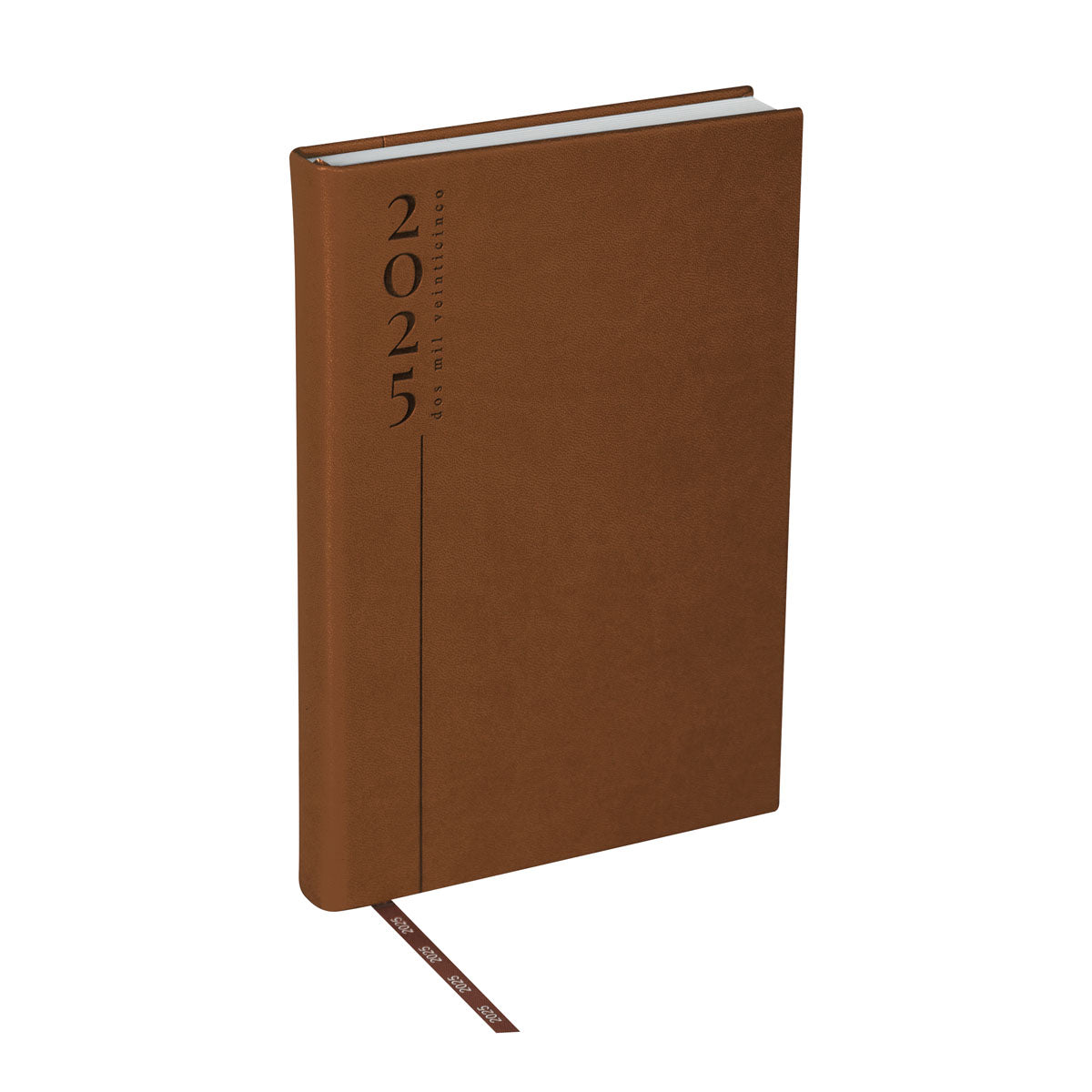 AGENDA DIARIA CLASICA 2025