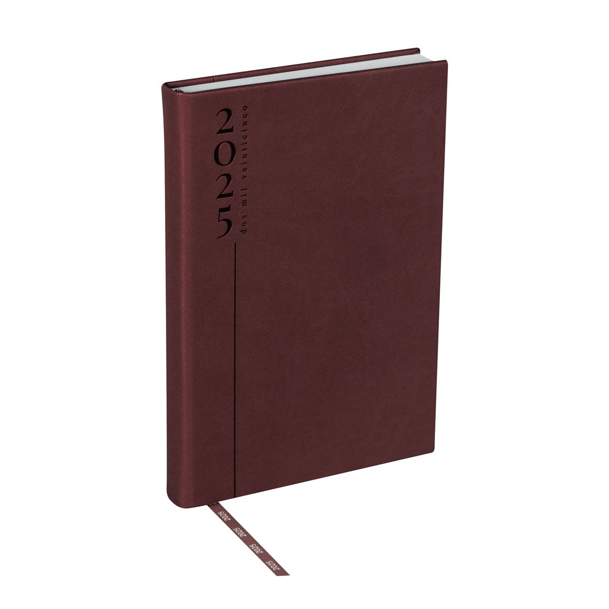 AGENDA DIARIA CLASICA 2025