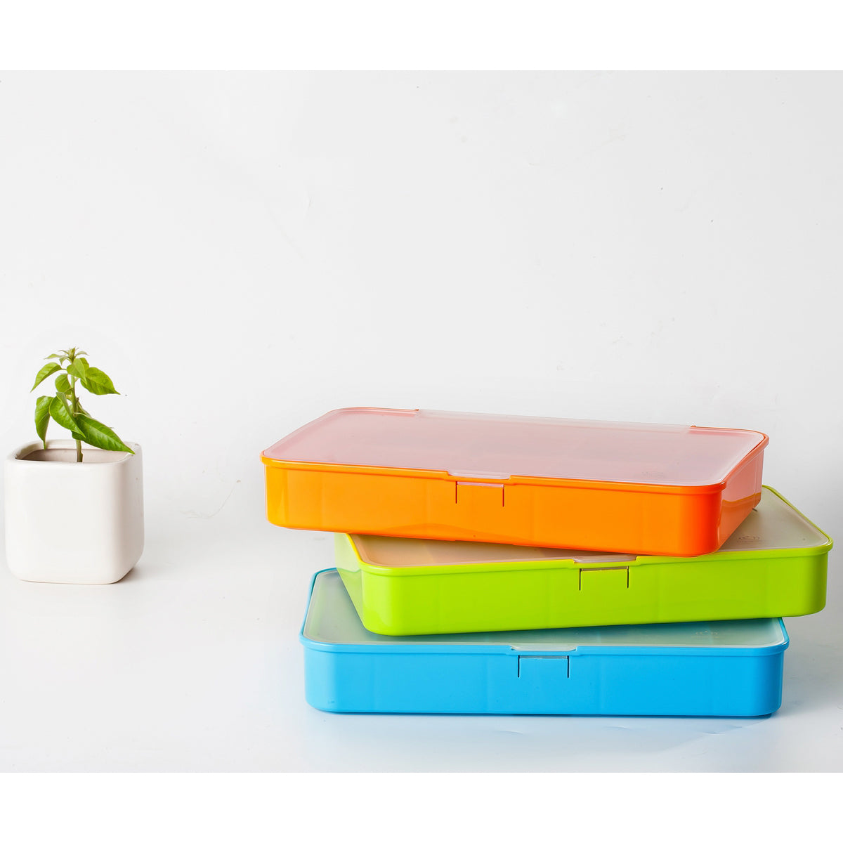 Organizador Malgesso.