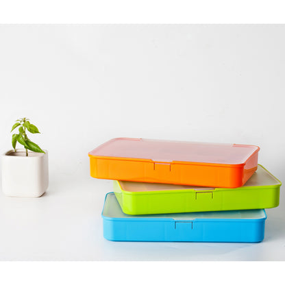Organizador Malgesso.