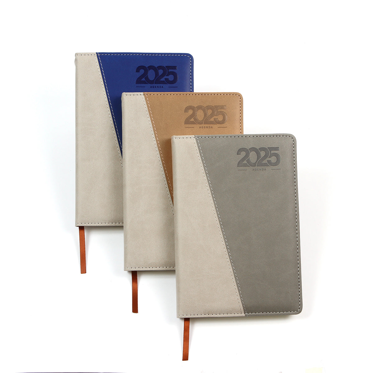 Agenda Diaria Cameri.