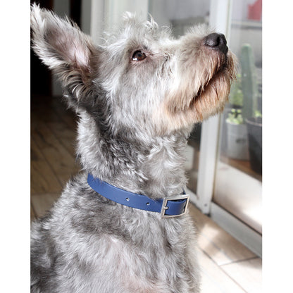 Collar Narbona.